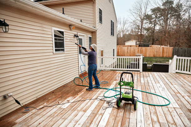 Best Pressure Washing Near Me  in Frankfort, MI