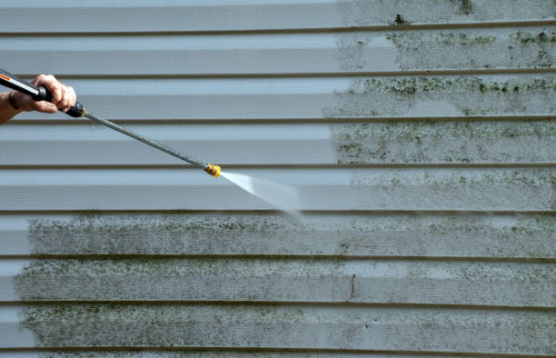 Best Local Pressure Washing Services  in Frankfort, MI