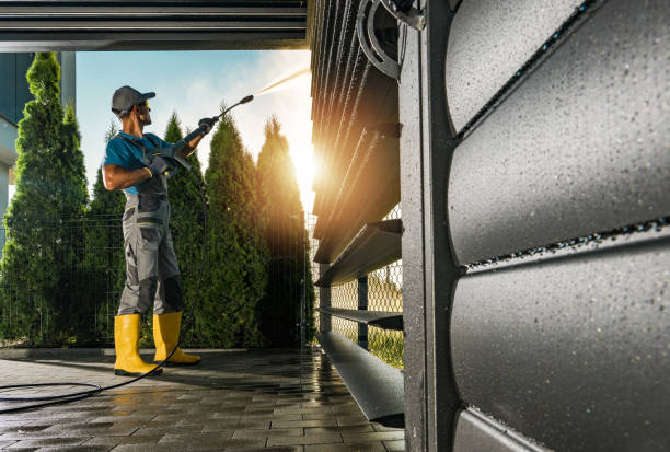 Best Best Pressure Washing Companies  in Frankfort, MI