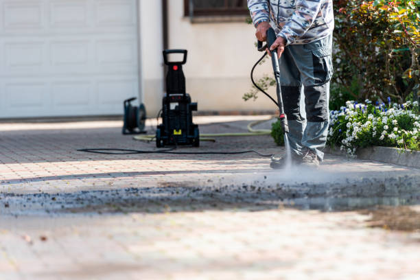 Best Power Washing Near Me  in Frankfort, MI