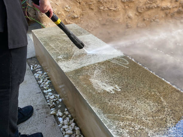 Best Roof Pressure Washing  in Frankfort, MI