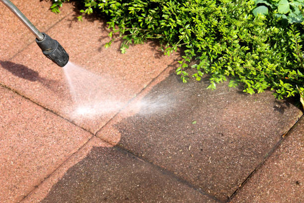 Best House Pressure Washing  in Frankfort, MI